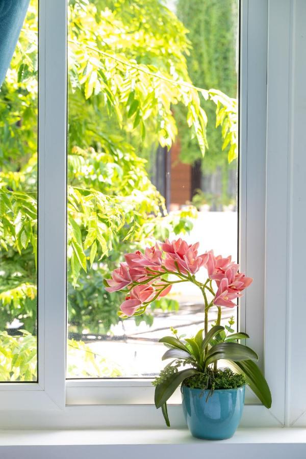 Dao Tien Homestay Хой Ан Екстериор снимка